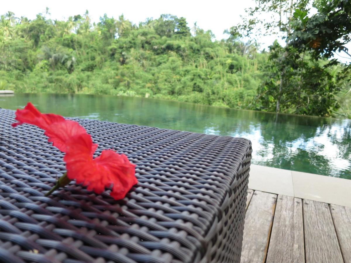 Tirta Loka Suite Tegallalang  Exteriér fotografie